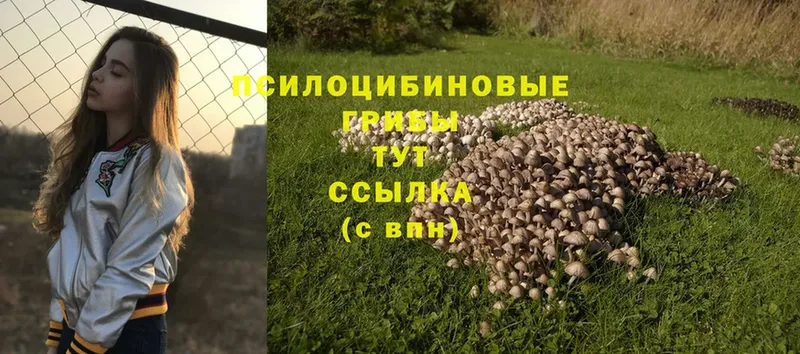 Галлюциногенные грибы Magic Shrooms  Асбест 